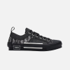 Dior Oblique B23- Low Canvas Oblique Black