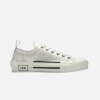 Dior Oblique B23 - Low Oblique White