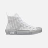 Dior Oblique B23 - Relflective Grey