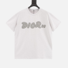T-shirt Dior x Kaws