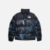 Jacket Supreme x North Face