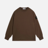 Hoodie Stone Island