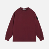 Hoodie Red Stone Island