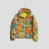 LV Down Jacket Multicolor