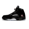 Air Jordan 5 Retro PSG