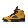 Air Jordan 5 Retro Inspire Brown/ Black