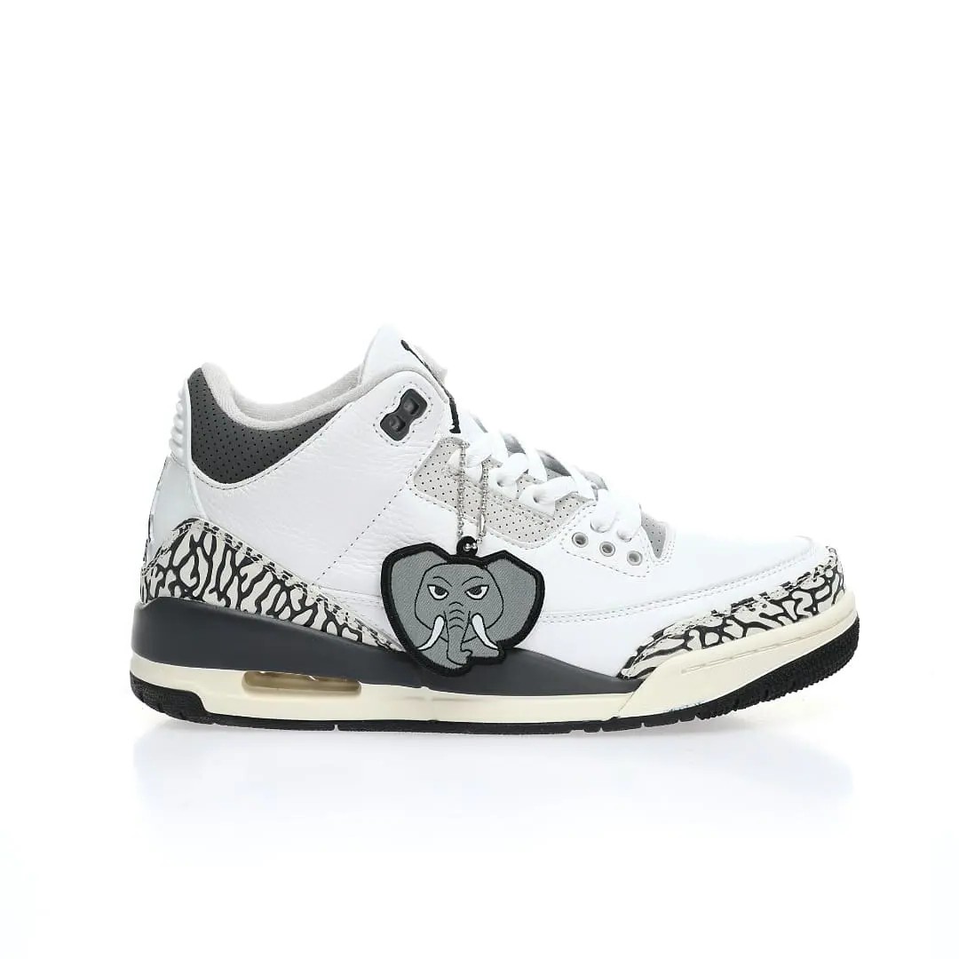 Nike Air Jordan 3 Retro GS”Hide N Sneak”